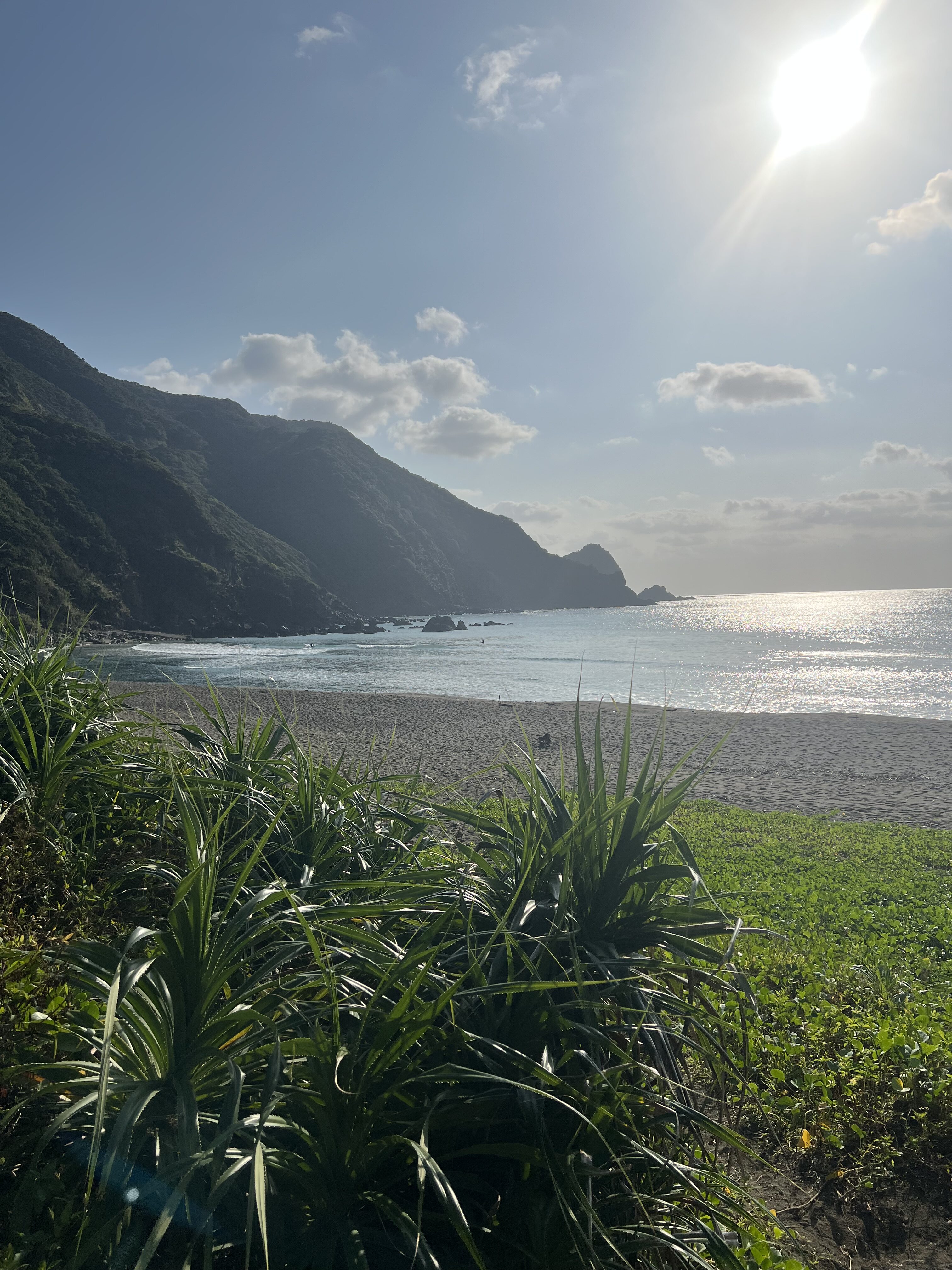 資産５０００万円を作り年利４%で運用