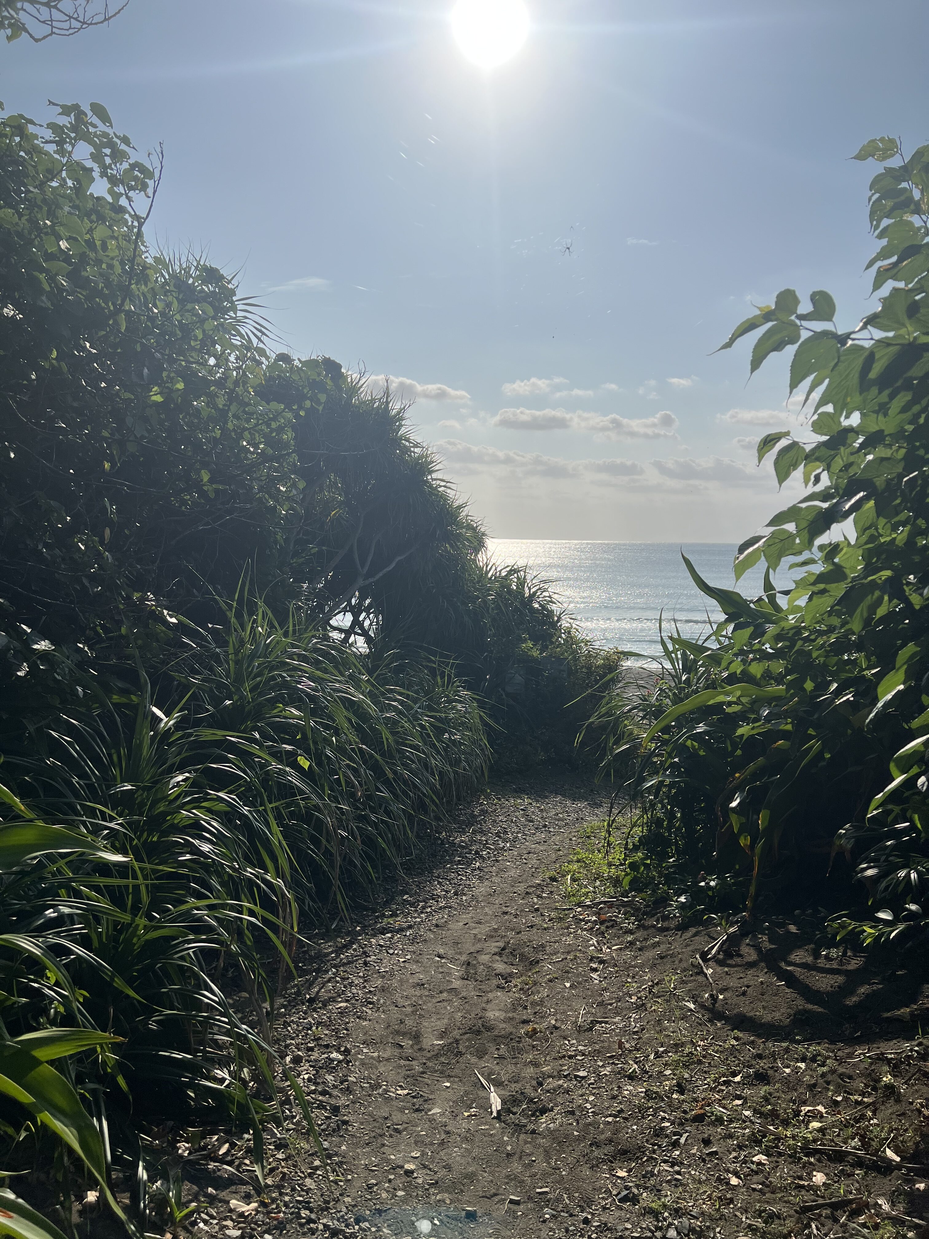 運動習慣をつける