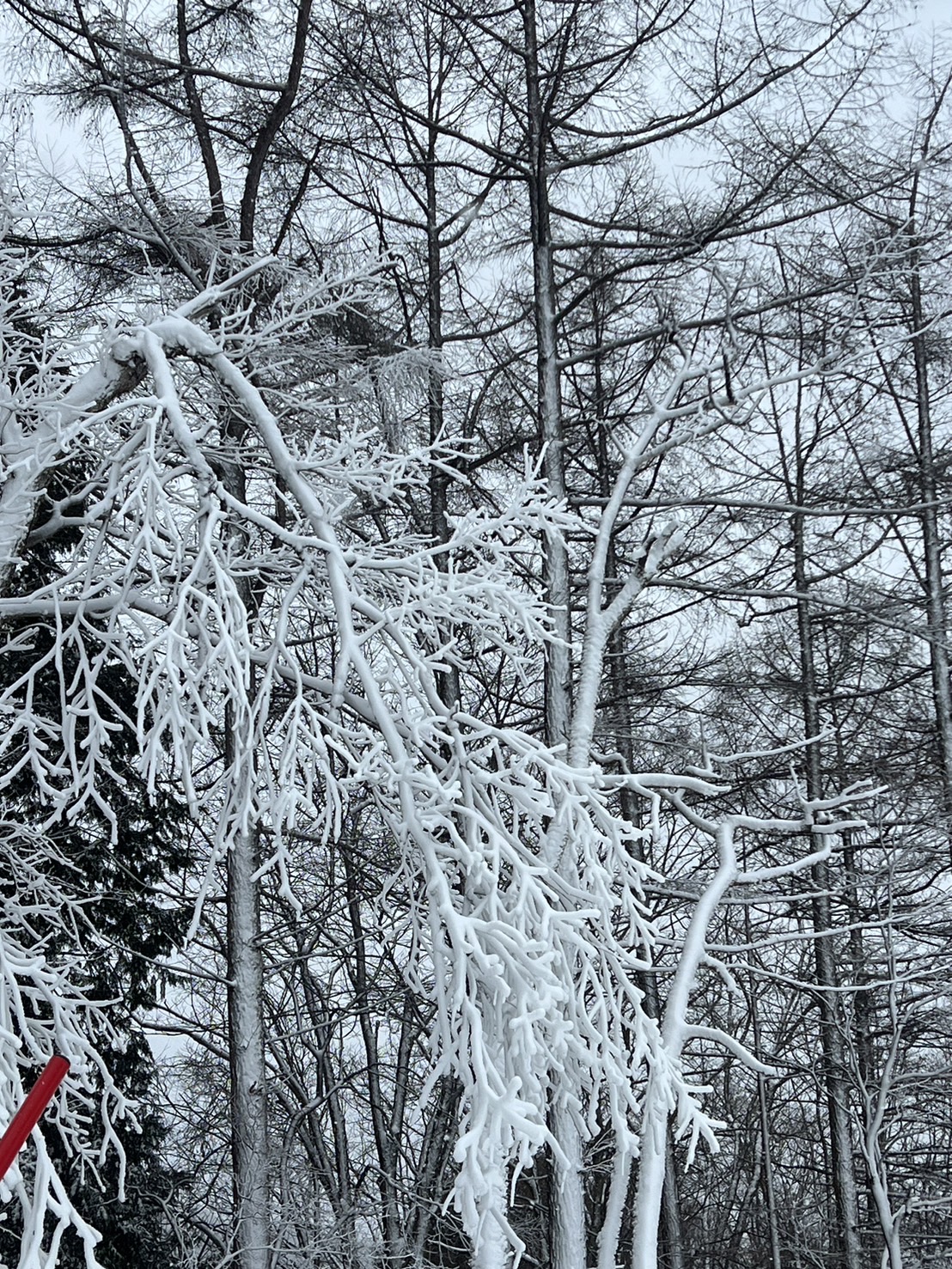 固定費削減リスト